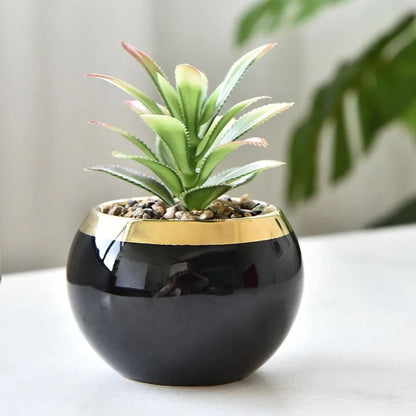 Ceramic Plant With Gold