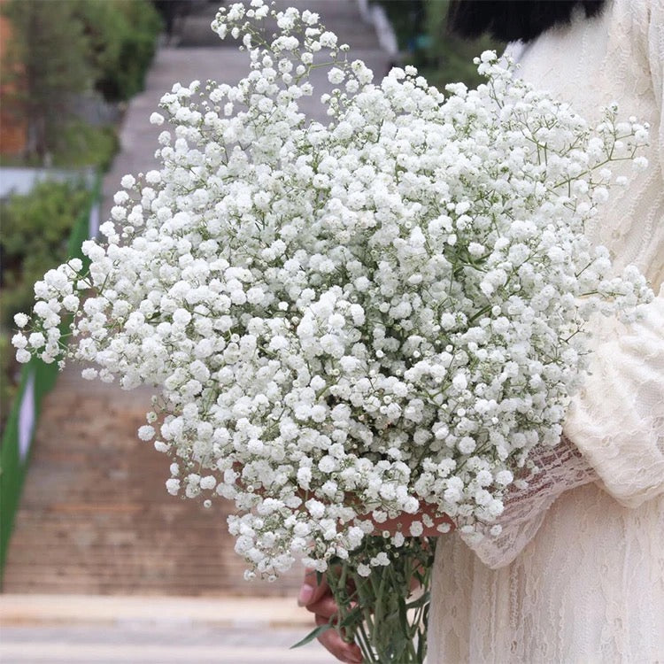 Elegant Breath White Bouquet