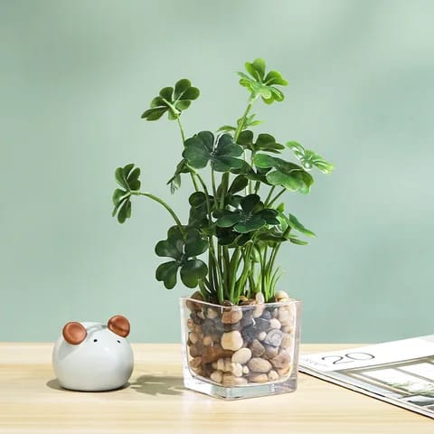 Artificial Transparent Plant With Gravel