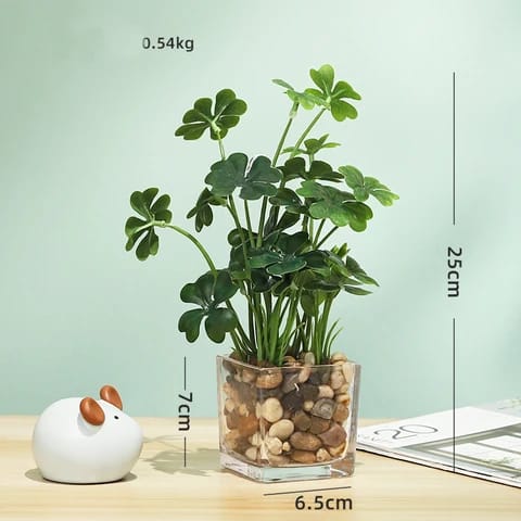 Artificial Transparent Plant With Gravel