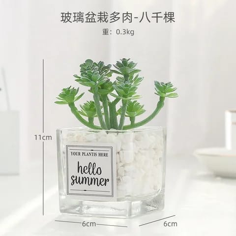 Tiny Transparent Planter- Pack Of 2