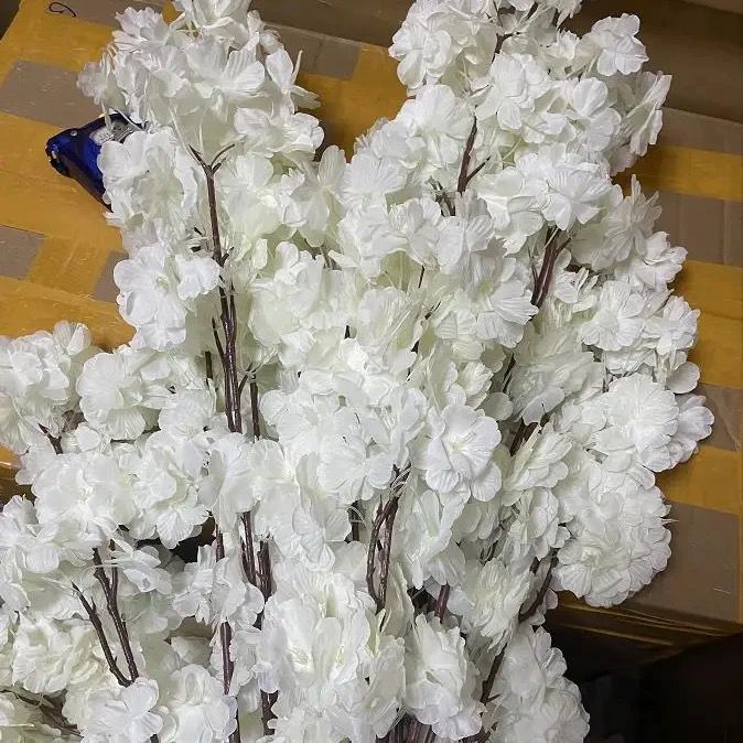 White Apricot Bouquet Or Branch