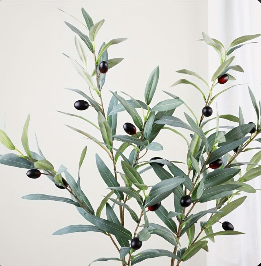 Branch Green Leaves With Olives