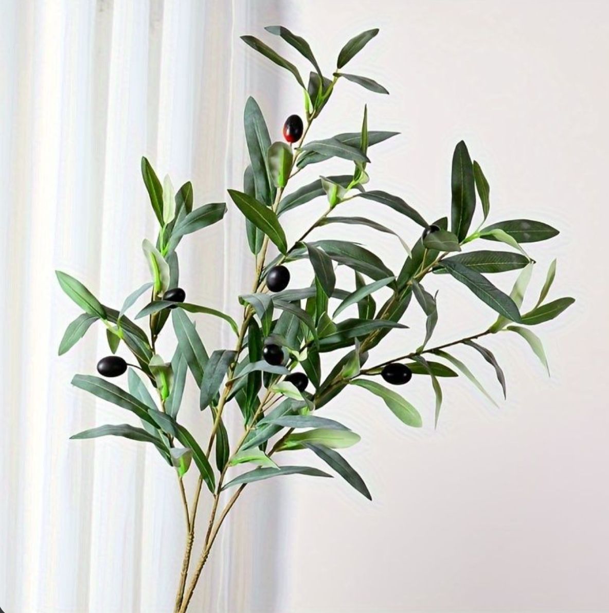 Branch Green Leaves With Olives