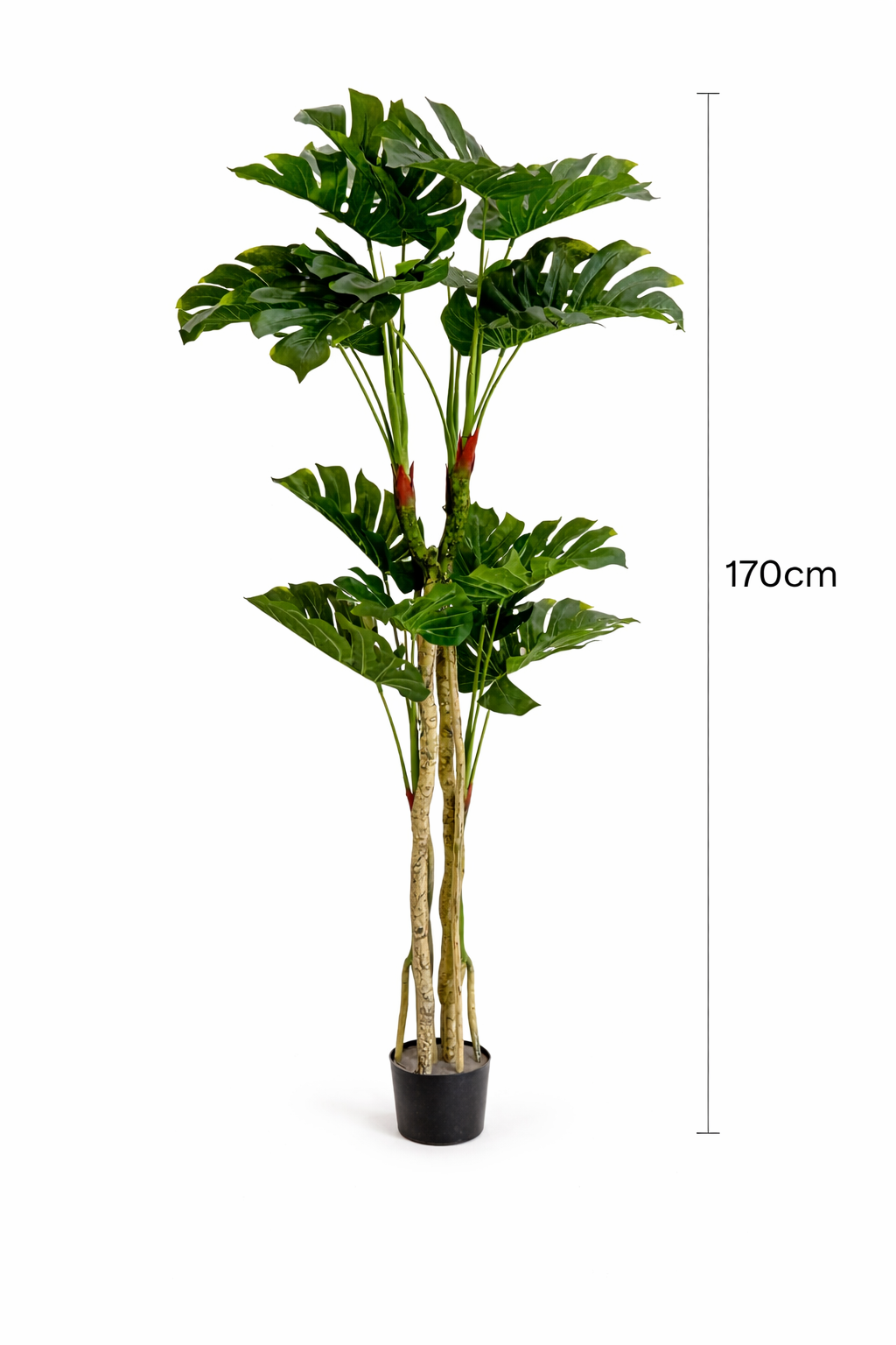 Luxury Artificial Monstera Tree - 170 CM