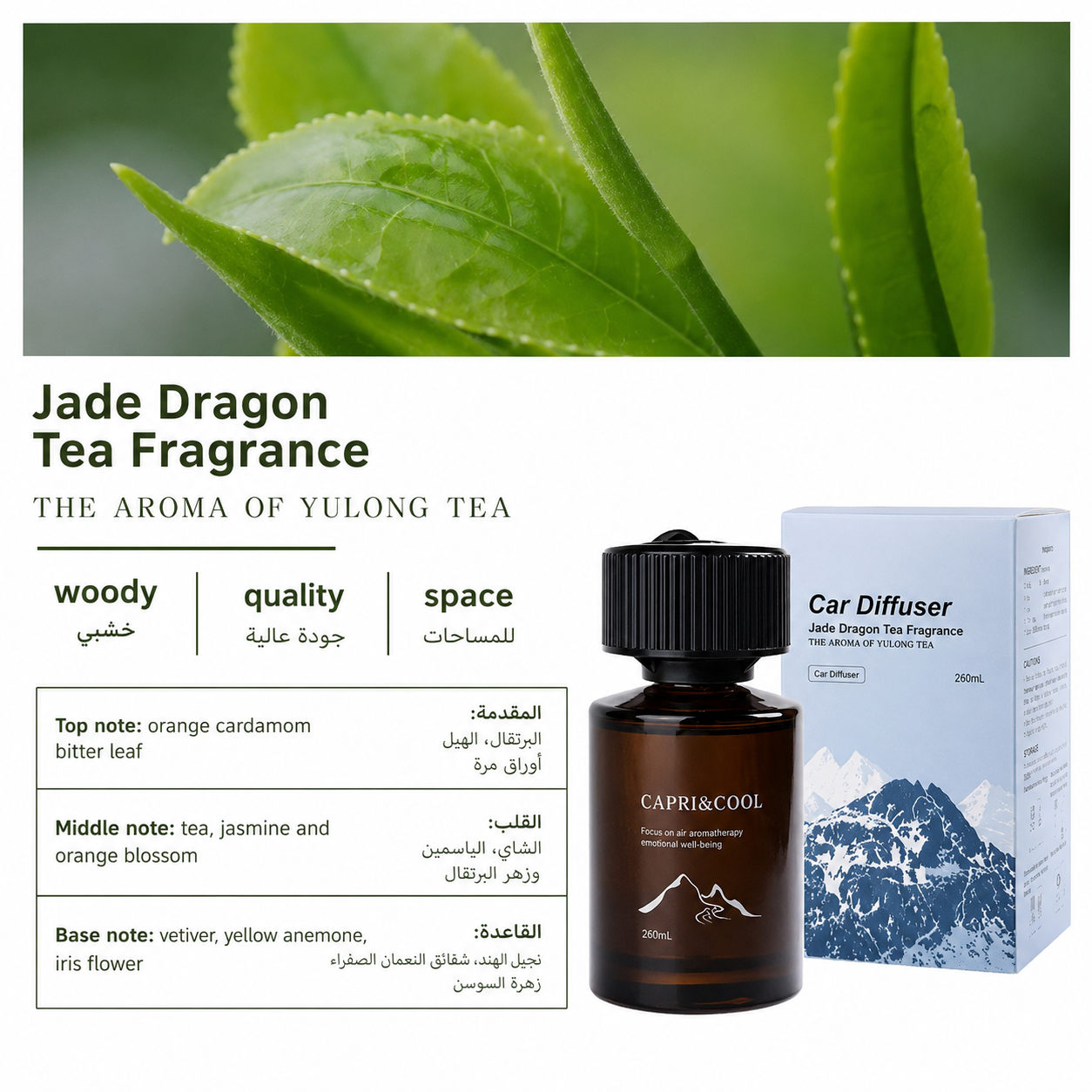 USB Aroma Diffuser & Humidifier