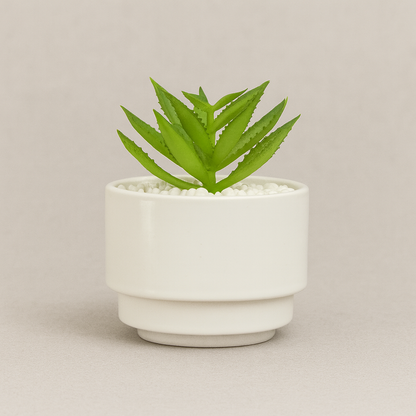Minimal White Ceramic Planter – Modern Decorative Accent - pack of 4