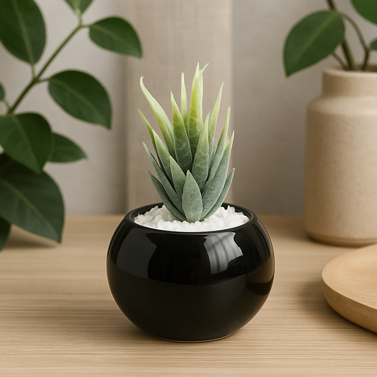 Mini Artificial Plant in Glossy Black Pot - pack of 3