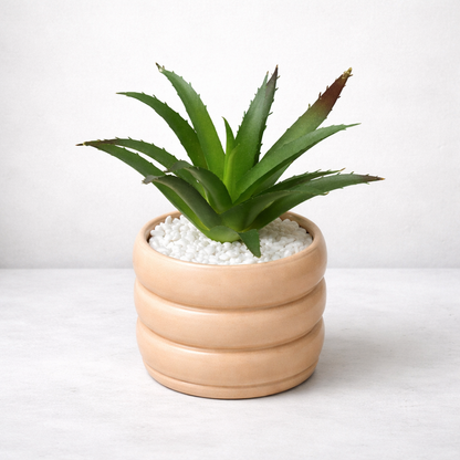 Artificial Decorative Plant in Stylish Pot | Effortless Green Accent pack of 2