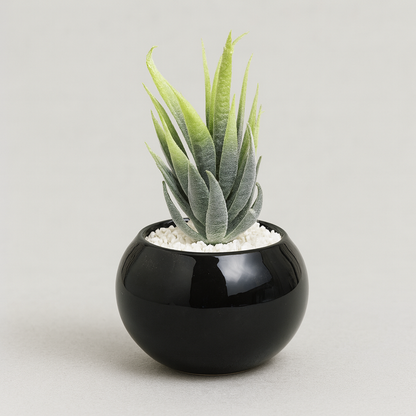 Mini Artificial Plant in Glossy Black Pot - pack of 3